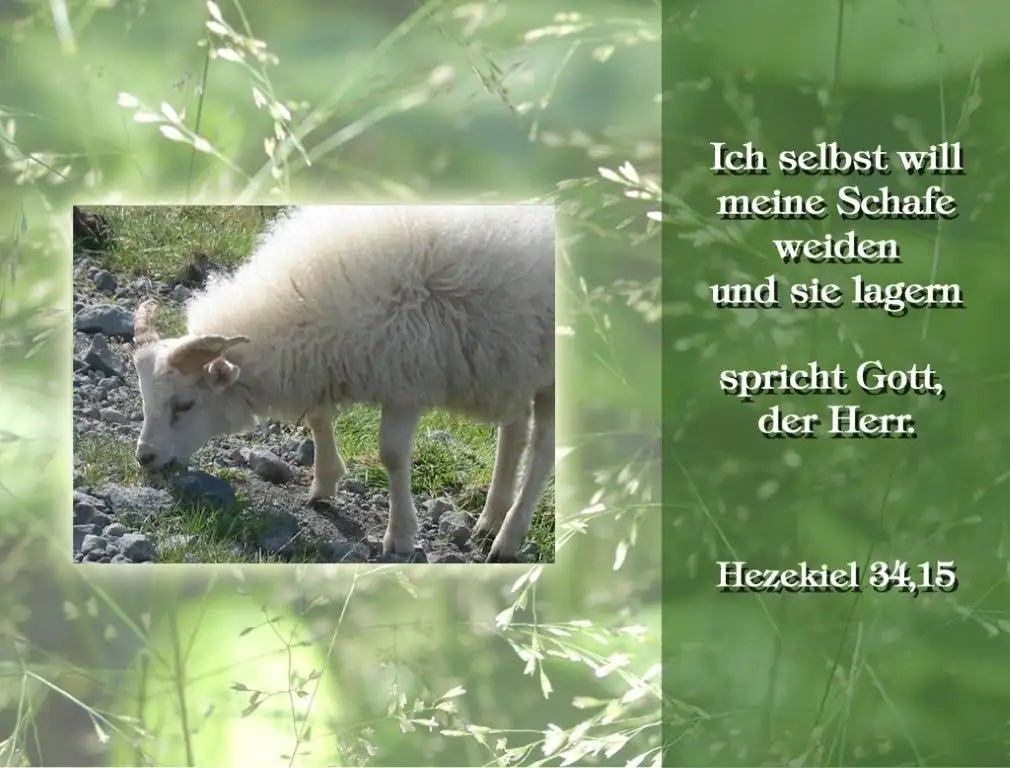 verlag christliche Bücher