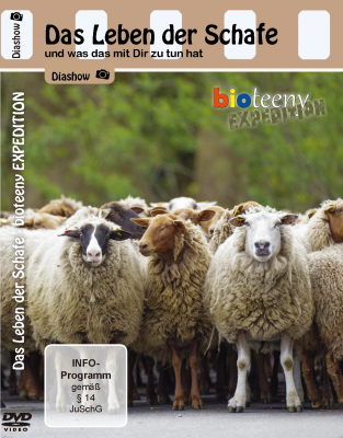 Das Leben der Schafe (Diashow DVD)