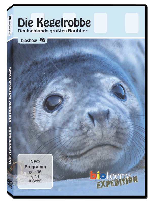Die Kegelrobbe (Diashow DVD)