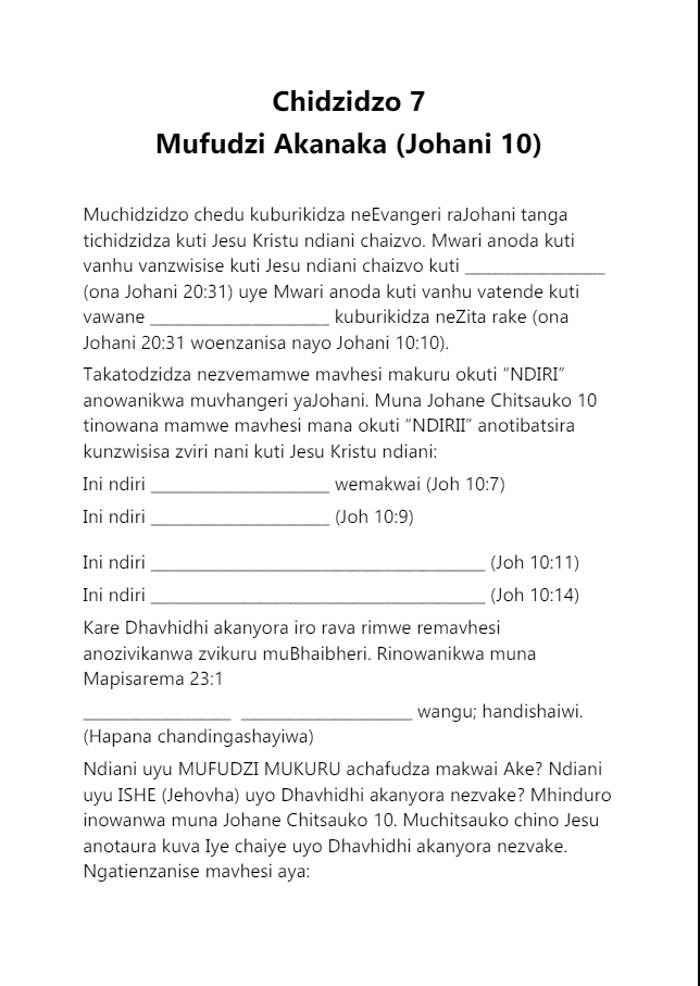 Vhangeri raJohani 10 (George Zeller)